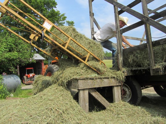loading the hay elevator - under orion farm